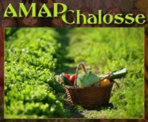 AMAP_Chalosse